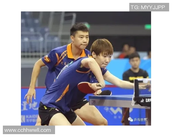 武汉乒乓球队进攻战术解析与技术特点深度剖析 武汉乒乓球队进攻战术解析与技术特点深度剖析