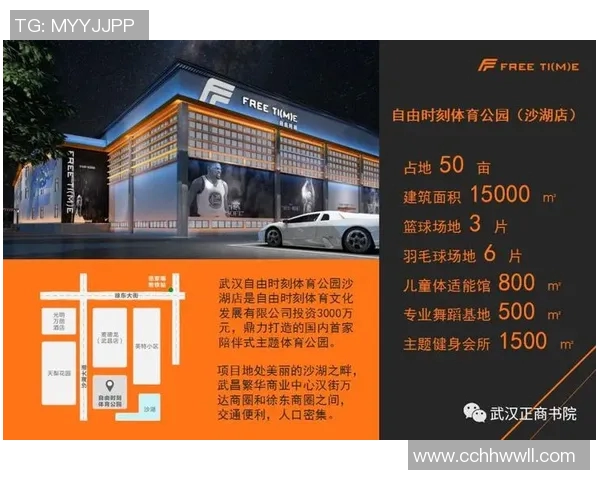 北京排球队意识对比深度剖析与战术演变的独特视角