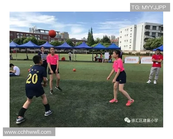 南京排球队拼搏历程揭秘努力与荣耀交织的杯赛之路