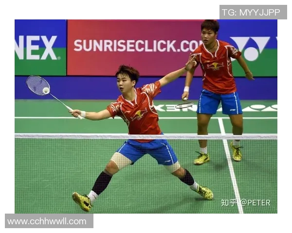 南京羽毛球队挑战赛个人能力分析与表现评估