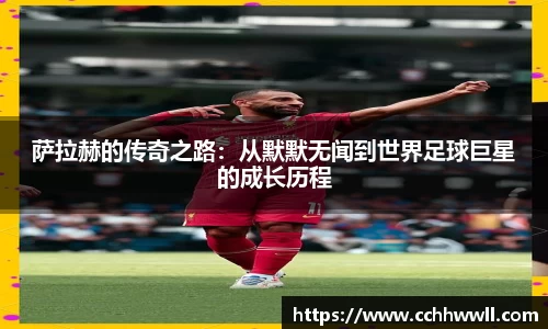 乐鱼体育APP