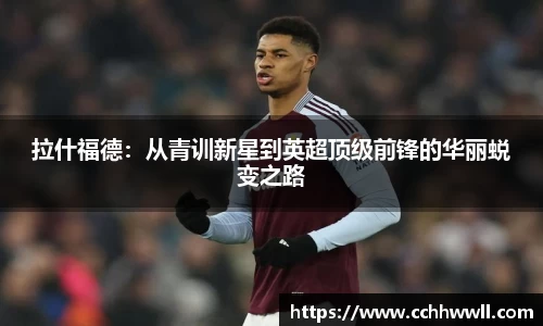 乐鱼体育